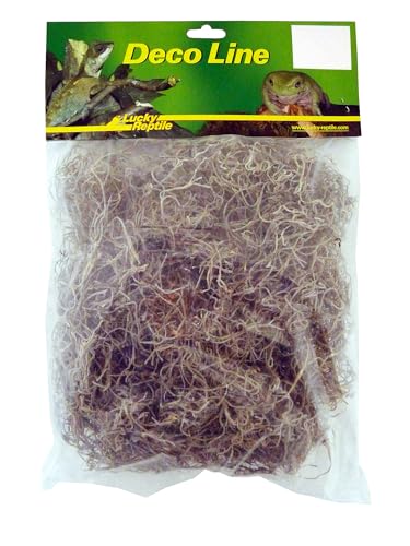 Lucky Reptile Spanisches Moos von Lucky Reptile