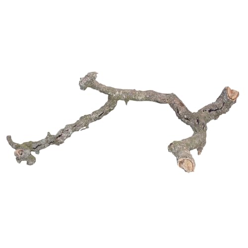 Lucky Reptile Tronchos - Korkäste, Größe:40-60 cm von Lucky Reptile