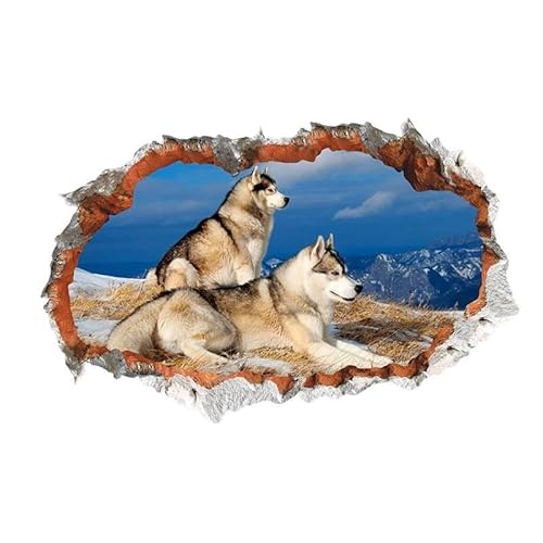 LuckyGGT Dreidimensionaler Kreativer Wanddurchdringender Wütender Wolf Wohnzimmer Schlafzimmer Dekoration Wandaufkleber Selbstklebender Aufkleber 40 * 60cm LuckyGGT Dreidimensionaler Kreativer Wanddurchdringender Wütender Wolf Wohnzimmer Schlafzimmer Dekoration Wandaufkleber Selbstklebender Aufkleber 40 * 60cm von LuckyGGT