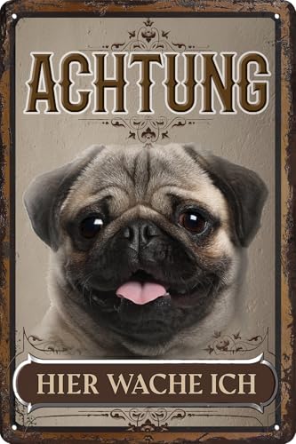 30 x 20 cm wetterfestes Blechschild, Warnhinweis, Torschild, Achtung, hier Wache ich! Warnung vor dem Hund (Mops Hellbraun) von LuckyLinde
