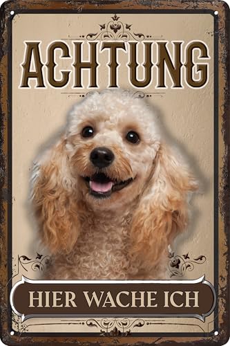30 x 20 cm wetterfestes Blechschild, Warnhinweis, Torschild, Achtung, hier Wache ich! Warnung vor dem Hund (Pudel Gold) von LuckyLinde