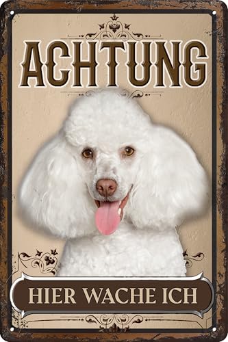 30 x 20 cm wetterfestes Blechschild, Warnhinweis, Torschild, Achtung, hier Wache ich! Warnung vor dem Hund (Pudel Weiß) von LuckyLinde