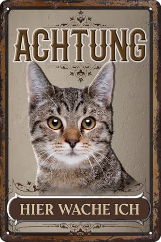 LUCKYLINDE – Wetterfestes Katzen Blechschild auch für den Außenbereich, Türschild, Hinweisschild, Warnschild: Achtung hier wache ich! - 20 x 30 cm (Tabby grau) von LuckyLinde