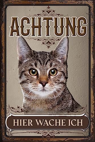 Wetterfestes, stabiles KatzenSchild für den Außenbereich - Hinweisschild: Achtung hier wache ich! - Katze Deko Alu Dibond Schild, wetterfest 30 x 20 cm (Tabby Katze grau) von LuckyLinde