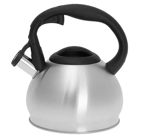 Luckyberg Moderne Wasserkessel Induktion Pfeifkessel aus Edelstahl, Kleiner Teekessel für alle Kochplatten, Flötenkessel, Wasserkocher für Tee Kaffee, ca 1,2 L, (Silber Matt) von Luckyberg