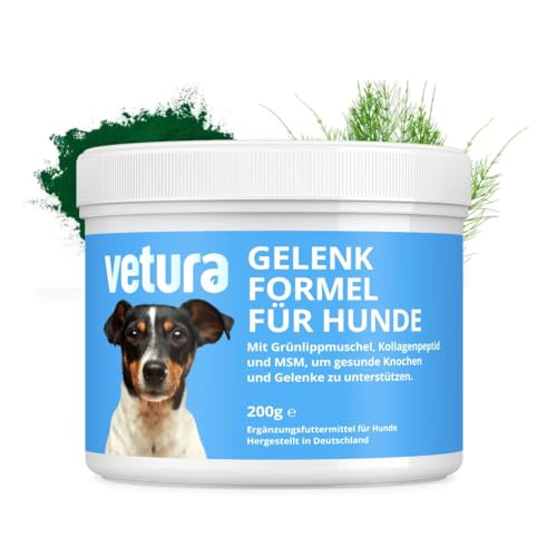 Vetura Gelenkformel für Hunde | Gelenkpulver mit Grünlippmuschel, MSM & Kollagen | Bei Arthrose & zur täglichen Gelenk- & Knochenschutz Unterstützung | 200g | Hohe Akzeptanz statt Tabletten von Vetura