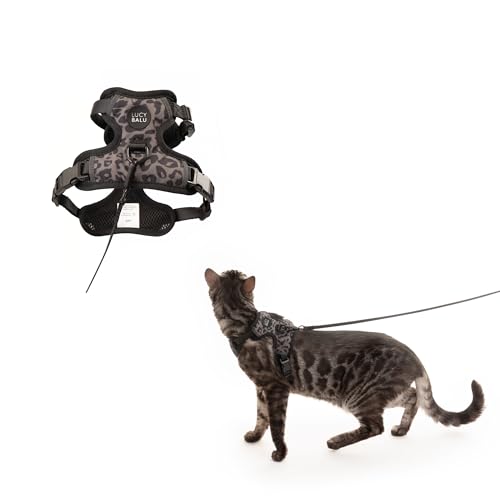 LucyBalu® Explorer Katzengeschirr mit Leine | ausbruchsicheres Katzengeschirr mit AirTag Fach | Katzen Brustgeschirr mit Katzenleine | Sicherheitsgeschirr mit Leine für Katzen | Leo M/L von LucyBalu