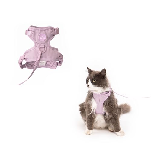 LucyBalu® Explorer Katzengeschirr mit Leine | ausbruchsicheres Katzengeschirr mit AirTag Fach | Katzen Brustgeschirr mit Katzenleine | Sicherheitsgeschirr mit Leine für Katzen | Lila XS/S von LucyBalu