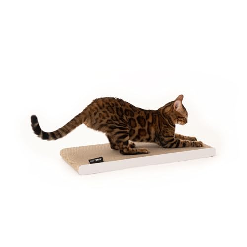 LucyBalu® SCRATCHPAPER Kratzpappe aus hochwertiger Wellpappe | Katzen Kratzmatte aus Pappe| Kratzbrett für Katzen | Katzenbrett aus Wellpappe | Katzenkratzbrett umkehrbar | Katzen Kratzpad | weiß von LucyBalu
