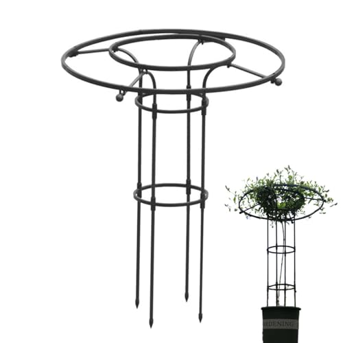 Lueear Rankgitter für Kletterpflanzen im Freien, vertikale Zimmerpflanzenstütze, vertikaler Garten Metallschirm Rankgitter Turmrahmen für Kletterpflanzen und Blumen von Lueear