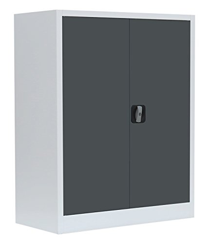 Flügeltürenschrank komplett montiert Metallschrank abschließbar 100x80x38cm Lagerschrank Aktenschrank 2 Fachböden 530318 grau/anthrazit von Lüllmann