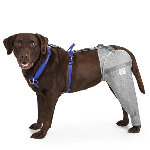 LufeLux Hundebeinmanschette gegen Lecken und Erholung nach Operationen, schützt verletzte echte Beine vor übermäßigem Lecken und Kratzen, Kegel-Alternative mit atmungsaktivem Stoff, einfach zu LufeLux Hundebeinmanschette gegen Lecken und Erholung nach Operationen, schützt verletzte echte Beine vor übermäßigem Lecken und Kratzen, Kegel-Alternative mit atmungsaktivem Stoff, einfach zu von LufeLux