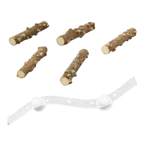 Luieonm Vogelkäfig Sitzstange | Kletterständer für Sittiche - Multifunktionaler Saugnapf Vogelkäfig Sitzstange für, Sittich, Nymphensittiche, Sittiche, Sittiche, Sittiche, Sittiche, Sit von Luieonm