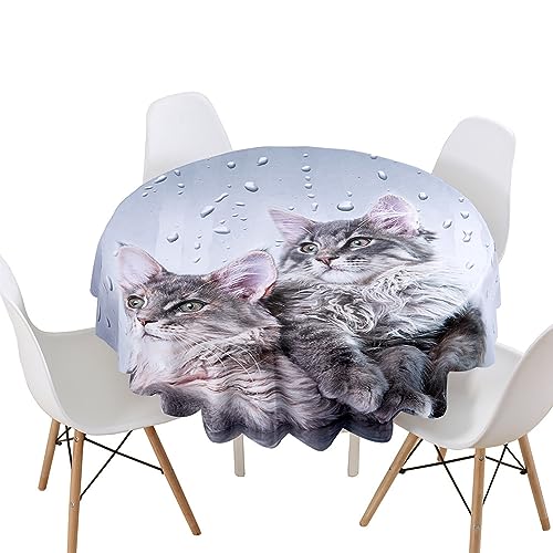 Lukery Tischdecke Abwaschbar Gartentischdecke, Tischdecke Rund Tischdecken 3D Katze Tischtuch Outdoor Indoor, Tisch Schutz für Geburtstag (Regentropfen Katze,Durchmesser 120cm) von Lukery