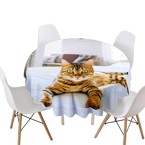 Lukery Tischdecke Abwaschbar Gartentischdecke, Tischdecke Rund Tischdecken 3D Katze Tischtuch Outdoor Indoor, Tisch Schutz für Geburtstag (Zibetkatze,Durchmesser 130cm) von Lukery