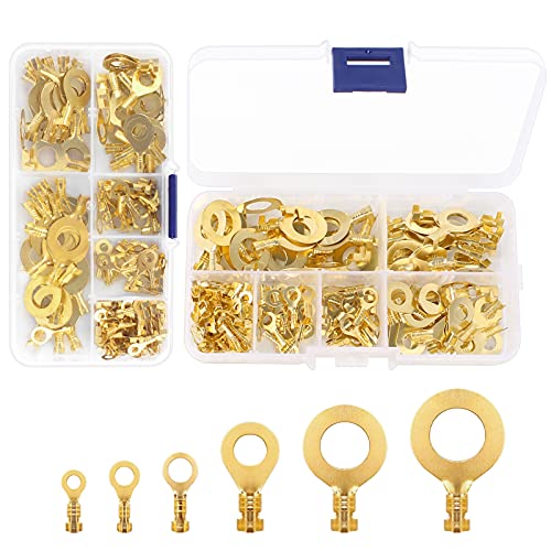 Ring Kabelschuhe 300 Stück Messing Kabelstecker Flachstecker Ring Terminals M3 M4 M5 M6 M8 M10 Ringkabelschuhe Sortiment Set mit Transparenter Aufbewahrungsbox Ring Kabelschuhe 300 Stück Messing Kabelstecker Flachstecker Ring Terminals M3 M4 M5 M6 M8 M10 Ringkabelschuhe Sortiment Set mit Transparenter Aufbewahrungsbox von LuluDa