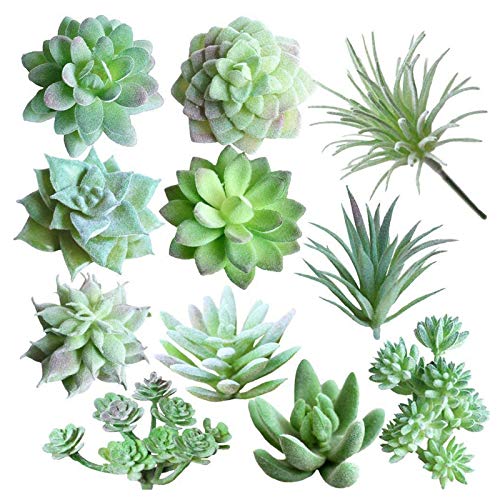 11 Stück künstliche Sukkulenten, Künstliche Beflockte Pflanzen Kunststoff Sukkulente Ungetopfte, Künstliche saftige Beflockung pflanzte für Zuhause Indoor Fairy Garden Dekorationen von Lulullaby