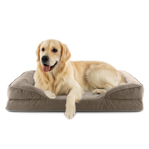 Lumaland orthopädisches Hundebett aus Cord | ergonomisches Hundesofa 110x75 cm - für große Hunde | Boden rutschfest | Füllung und Bezug waschbar | Hundekörbchen mit Memory Schaumstoff Lumaland orthopädisches Hundebett aus Cord | ergonomisches Hundesofa 110x75 cm - für große Hunde | Boden rutschfest | Füllung und Bezug waschbar | Hundekörbchen mit Memory Schaumstoff von Lumaland
