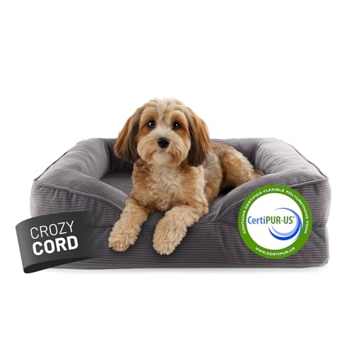Lumaland orthopädisches Hundebett aus Cord | ergonomisches Hundesofa 70x60 cm - für kleine Hunde | Boden rutschfest | Füllung und Bezug waschbar | Hundekörbchen mit Memory Schaumstoff Lumaland orthopädisches Hundebett aus Cord | ergonomisches Hundesofa 70x60 cm - für kleine Hunde | Boden rutschfest | Füllung und Bezug waschbar | Hundekörbchen mit Memory Schaumstoff von Lumaland
