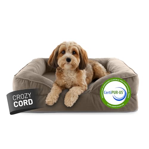 Lumaland orthopädisches Hundebett aus Cord | ergonomisches Hundesofa 70x60 cm - für kleine Hunde | Boden rutschfest | Füllung und Bezug waschbar | Hundekörbchen mit Memory Schaumstoff von Lumaland