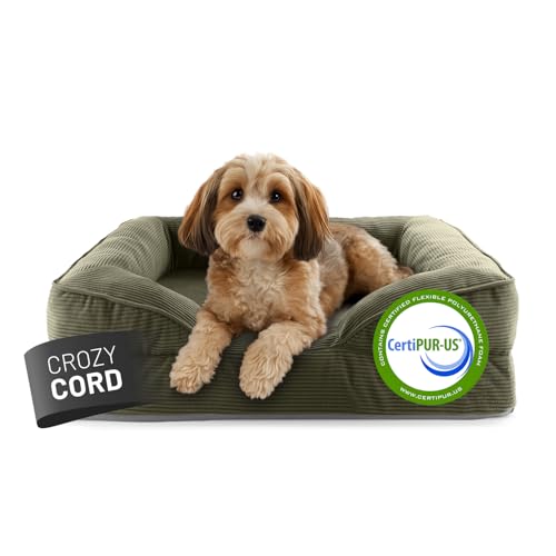 Lumaland orthopädisches Hundebett aus Cord | ergonomisches Hundesofa 70x60 cm - für kleine Hunde | Boden rutschfest | Füllung und Bezug waschbar | Hundekörbchen mit Memory Schaumstoff von Lumaland