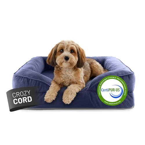 Lumaland orthopädisches Hundebett aus Cord | ergonomisches Hundesofa 70x60 cm - für kleine Hunde | Boden rutschfest | Füllung und Bezug waschbar | Hundekörbchen mit Memory Schaumstoff von Lumaland