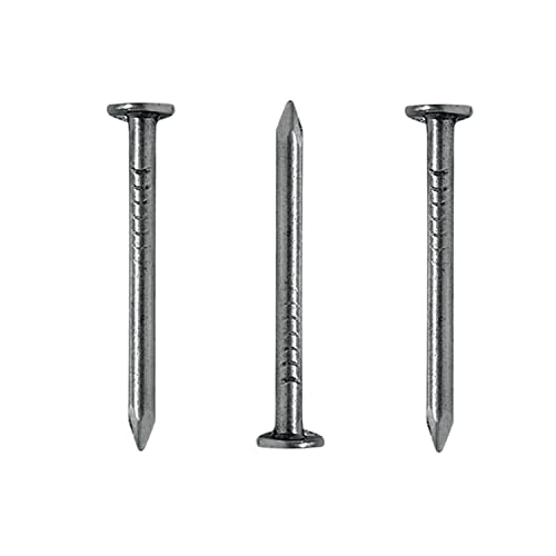 Dachpappennägel, Dachpappstift 3,0 x 20 mm, dachpappenstift, Bilder Nagel Verzinkt, 1,0 kg von LumenTEC