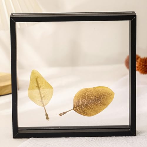 LuminaCreek Portrait-Bilderrahmen, doppelseitiger transparenter Bilderrahmen, trockene Blätter, Mehrfarbig, mehrere Größen, for den Schreibtisch(Black,5 inches) von LuminaCreek