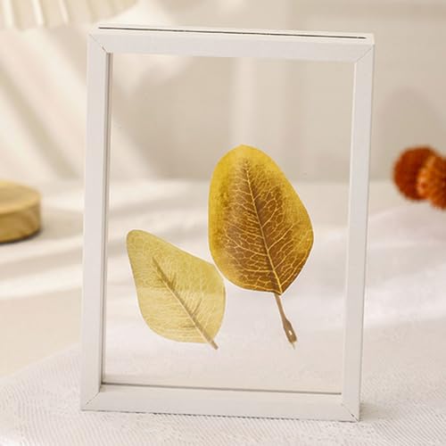 LuminaCreek Portrait-Bilderrahmen, doppelseitiger transparenter Bilderrahmen, trockene Blätter, Mehrfarbig, mehrere Größen, for den Schreibtisch(White,7 inches) von LuminaCreek