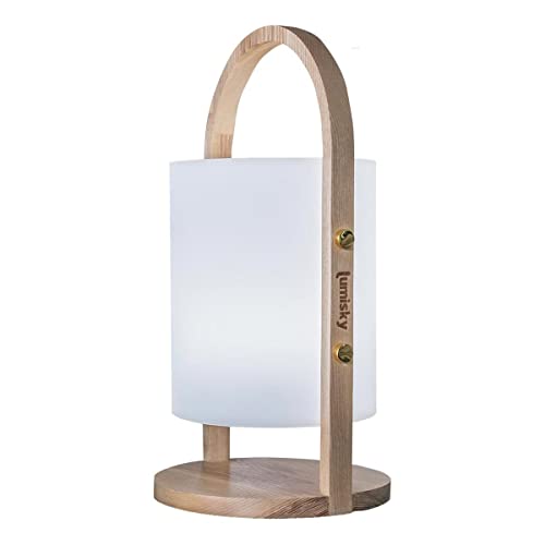 Lumisky Lanterne lumière blanche de jardin avec anse en bois sans fil sur batterie WOODY à LED Polyéthylène rotomoulé, ∅19xH37 cm von Lumisky