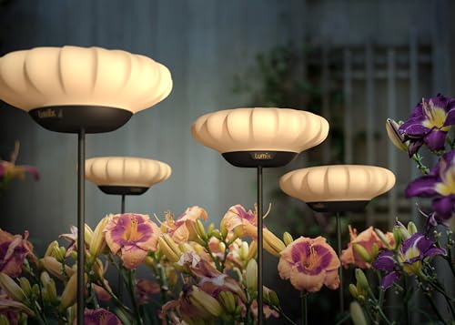 Lumix® Solar Flowers 1x Solarleuchte für Außen Garten von Krinner innenliegendes Solarpanel, IP44, Auto EIN/AUS mit RGB, Auto Change und neutralem LED Licht, Gartenleuchte Sunny 1 Stück von Lumix