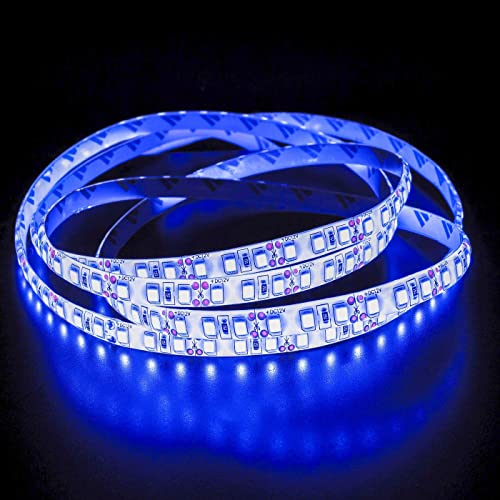 Lumonic LED Strip 5m Blau LED Leiste 24V IP65 600LEDs 120 LED/m SMD2835 I LED Streifen I LED Stripe 500cm, LED Band, LED Lichtband von Lumonic