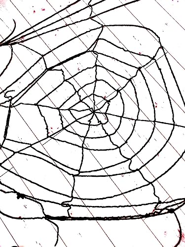 Luna24 simply great ideas... Dekoration Spinnennetz XXL Format in schwarz oder weiß wählbar 15172 Halloween (schwarz) Halloween deko, Bastelideen Halloween. von Luna24 simply great ideas...