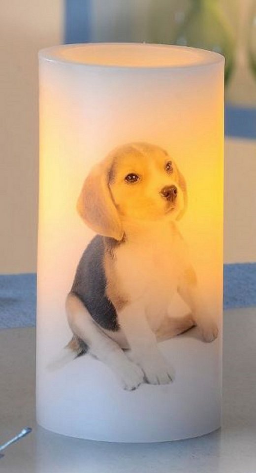 Luna24 simply great ideas... LED-Kerze LED Kerze mit Hundemotiv Welpe Beagle, 2er-Set Beagle, 2er-Set Beagle Luna24 simply great ideas... LED-Kerze LED Kerze mit Hundemotiv Welpe Beagle, 2er-Set Beagle, 2er-Set Beagle von Luna24 simply great ideas...