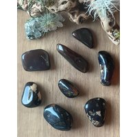 Echte Große Blaue Bernstein Palmen Steine von LunaKaiCrystals