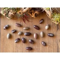 Shiva Lingam Steine von LunaKaiCrystals