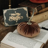 Deko Kürbis Bronze Aus Samt Mit Echtem Stiel von LunaetNoctua