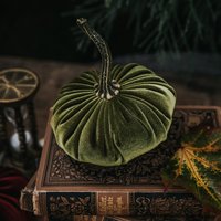 Deko Kürbis Hellgrün Aus Samt Mit Echtem Stiel von LunaetNoctua