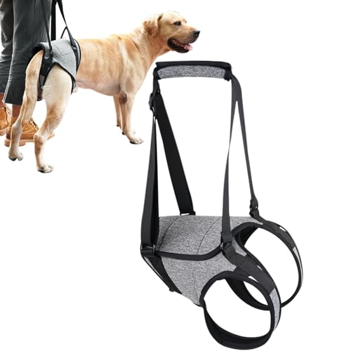 Hundegeschirr - Rückengurt, Geschirr für ältere Menschen | Rückenstütze für ältere oder genebene Hunde, ergonomisches Geschirr mit Leine, unterstützt die Mobilität nach der von Lunaobrik
