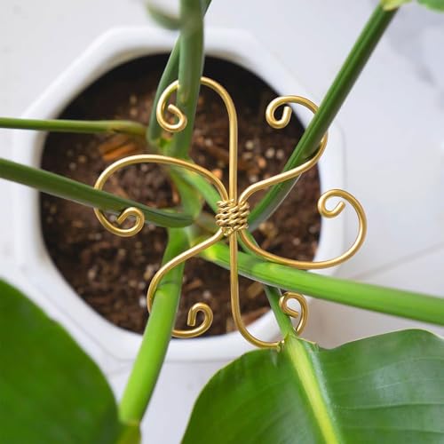 LunarCharm 4er-Pack Monstera-Pflanzenstützsystem aus Metall – langlebige Stielstützen mit Haken für gesundes Wachstum, benutzerfreundliche Zimmerpflanzenpflege von LunarCharm