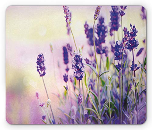 Lunarable Lavendel Mousepad, Traumhafter Frühlingstag mit frischen Blüten Aromatische zarte Wildblumen, Rechteckiges rutschfestes Gummi-Mauspad, Standardgröße, Lavendel Flieder Grün von Lunarable