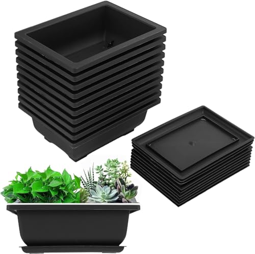 Luntfeiy 10 Packungen Bonsai Trainings Töpfe mit Tablett Kunststoff Bonsai Pflanzen Topf für Garten Wohnen Balkon 16,5X12Cm von Luntfeiy