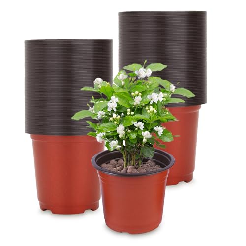 Lunyloer AnzuchttöPfe, 120 Stück PET PflanztöPfe, PflanztöPfe Rund, AufzuchttöPfe für Gartenfrüchte, GemüSe, Blumenpflanzen AufzuchttöPfe (10×8cm) von Lunyloer