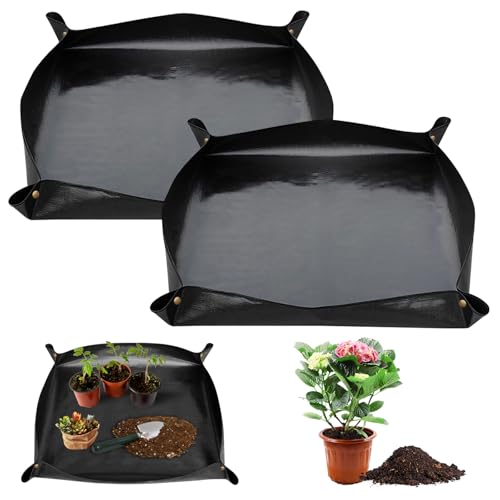 2 Stück wasserdichte Pflanzmatte 100x100 cm PE Gartenmatte Pflanzmatte Faltbar Pflanzunterlage,Anti-Leckage-Design,Pflanzen Umtopfmatte Schwarz Pflanzunterlage für Umtopf,Sukkulenten,Sämling Schwarz 2 Stück wasserdichte Pflanzmatte 100x100 cm PE Gartenmatte Pflanzmatte Faltbar Pflanzunterlage,Anti-Leckage-Design,Pflanzen Umtopfmatte Schwarz Pflanzunterlage für Umtopf,Sukkulenten,Sämling Schwarz von Lunza