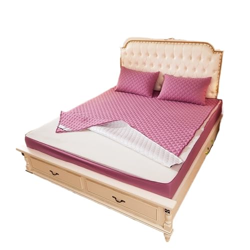6-seitig vollständig geschlossener Matratzenbezug, wasserdichter Schutz for das Bett mit Reißverschluss, staubdichtes Spannbettlaken zur Verwendung in Matratzen(Color 5,120x200x20cm) von LuoAXINN