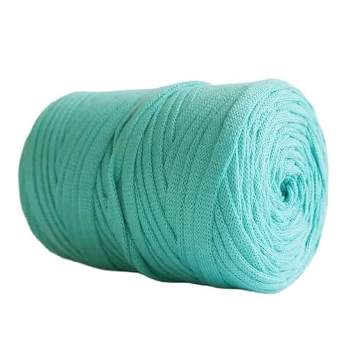 LuoShaiu Flat Silk Knitted Fabric Thread, Hollow Yarn Flat Silk, Hand Woven Bag Hook Sandals 250g Dicke Wolle(27-250g) von LuoShaiu