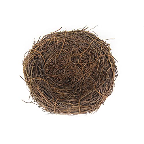 Luojuny Easter Birdnest Umwelt freundliche breite Anwendung Tragbares DIY Handwerk Vogelnest Dekor für Patio 12cm Luojuny Easter Birdnest Umwelt freundliche breite Anwendung Tragbares DIY Handwerk Vogelnest Dekor für Patio 12cm von Luojuny
