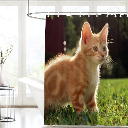 Luowenji Duschvorhang 200x220 Katze Antischimmel Waschbar Duschvorhänge Tierische Haustiere Shower Curtains 3D Wasserdicht Badezimmer Vorhänge für Badewanne und Dusche mit Haken 3876D von Luowenji