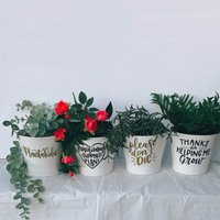 Übertopf Aus Keramik | Punny Pflanze Lehrer Geschenk Danke, Dass Du Mir Geholfen Hast Zu Wachsen Sukkulenten Kaktus Kakteen Pflanzgefäße Übertopf Aus Keramik | Punny Pflanze Lehrer Geschenk Danke, Dass Du Mir Geholfen Hast Zu Wachsen Sukkulenten Kaktus Kakteen Pflanzgefäße von Lupity