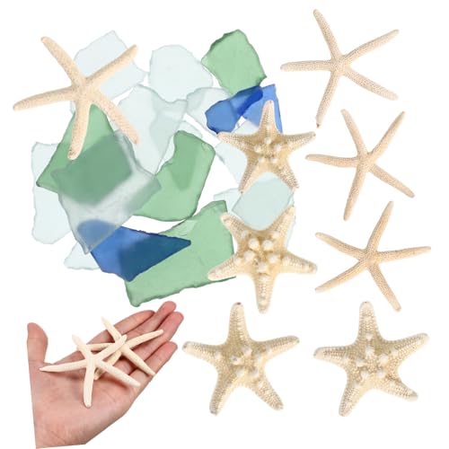 Lurrose 1 Standardsituationen Seestern-Anzug Gefälschter Seestern Wasser- Fisch Vasen Anlage Aquarium-Ornament Ansehen Dekorationen Girlande Blase Luft Tank Fälschung Nautisch Glas von Lurrose
